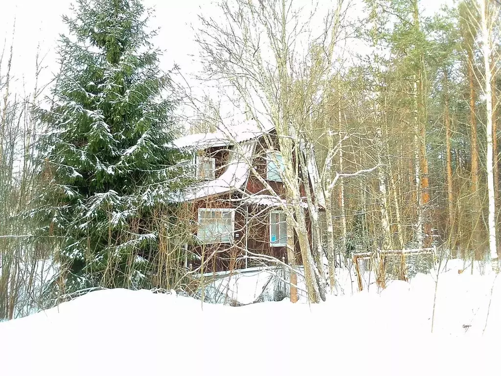 Дом в Ленинградская область, Выборгский район, Рощинское городское ... - Фото 1