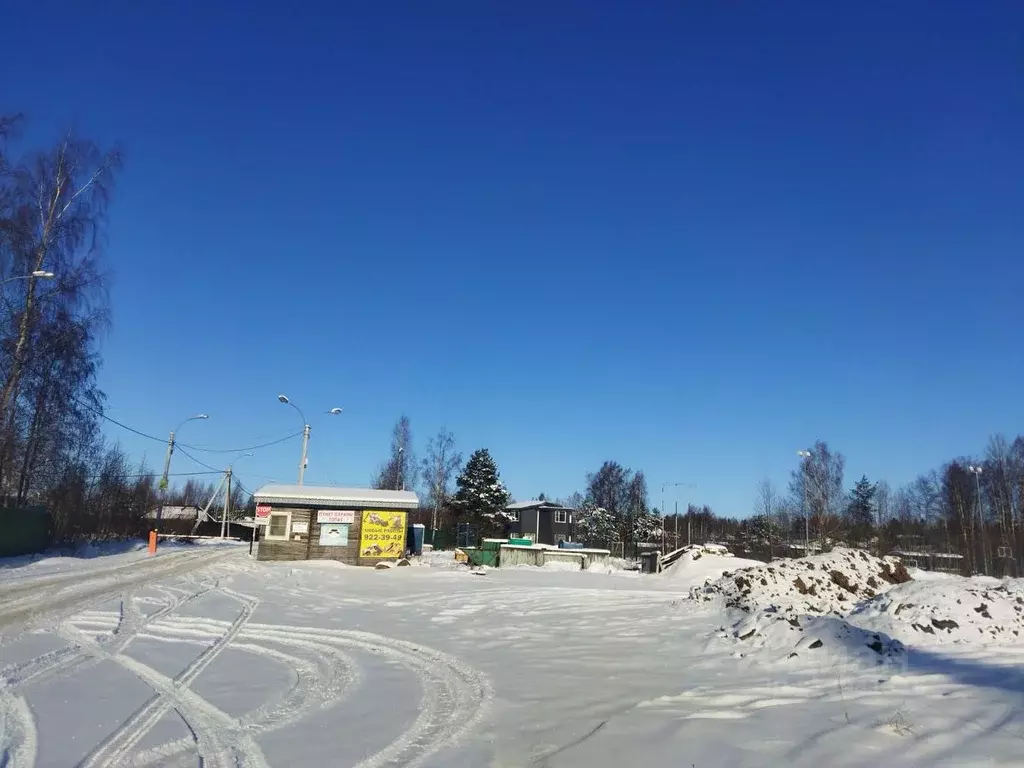 Участок в Ленинградская область, Ломоносовский район, Лебяженское ... - Фото 0