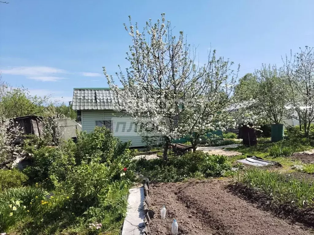 Дом в Марий Эл, Йошкар-Ола Тюльпан СНТ, 96 (21 м) - Фото 1