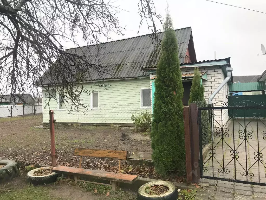 Дом в Брянская область, Жуковка ул. Чапаева (65 м) - Фото 0