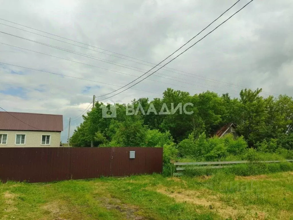 Участок в Пензенская область, Бессоновский район, с. Кижеватово ул. ... - Фото 1