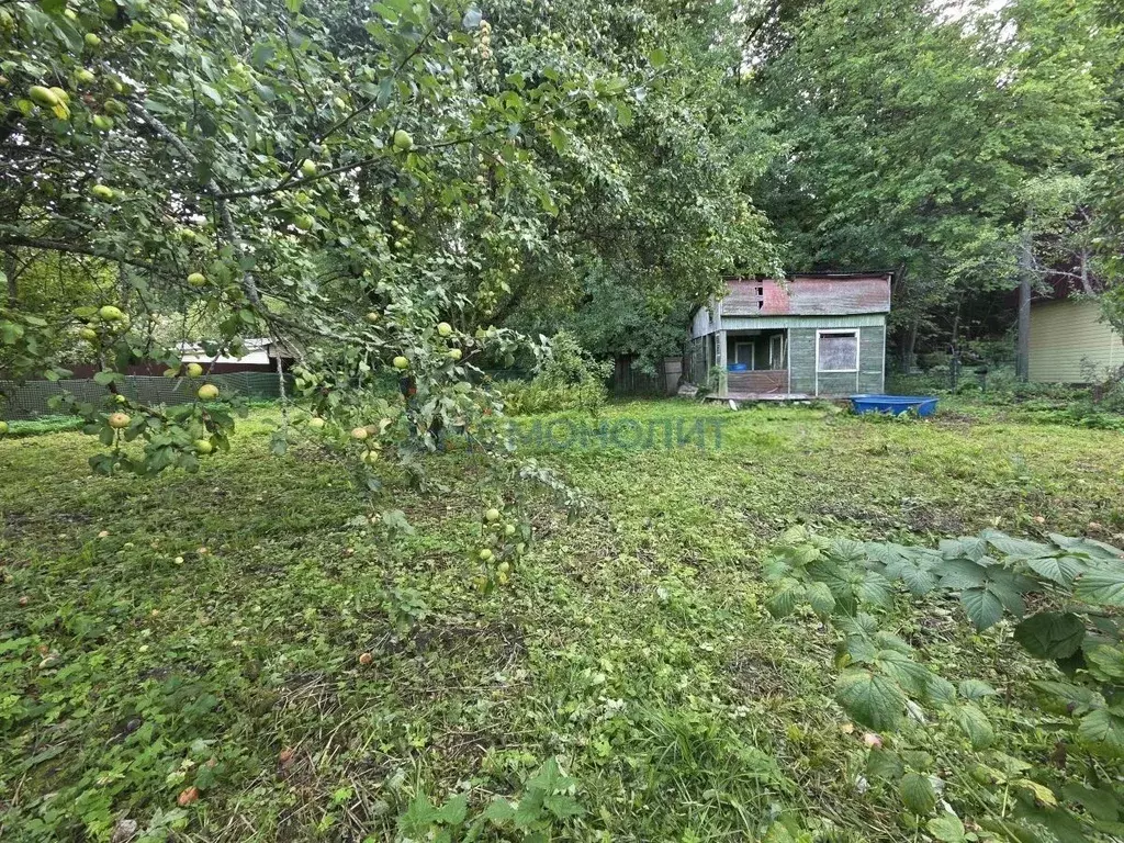 Участок в Нижегородская область, Нижний Новгород Заветы Мичурина Сад № ... - Фото 1