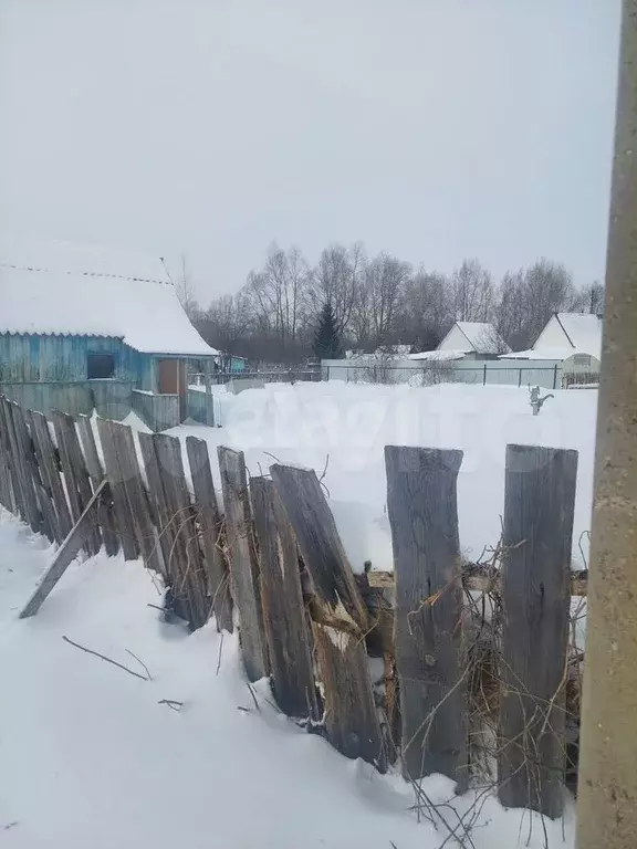 Участок 4 сот. (СНТ, ДНП) - Фото 0