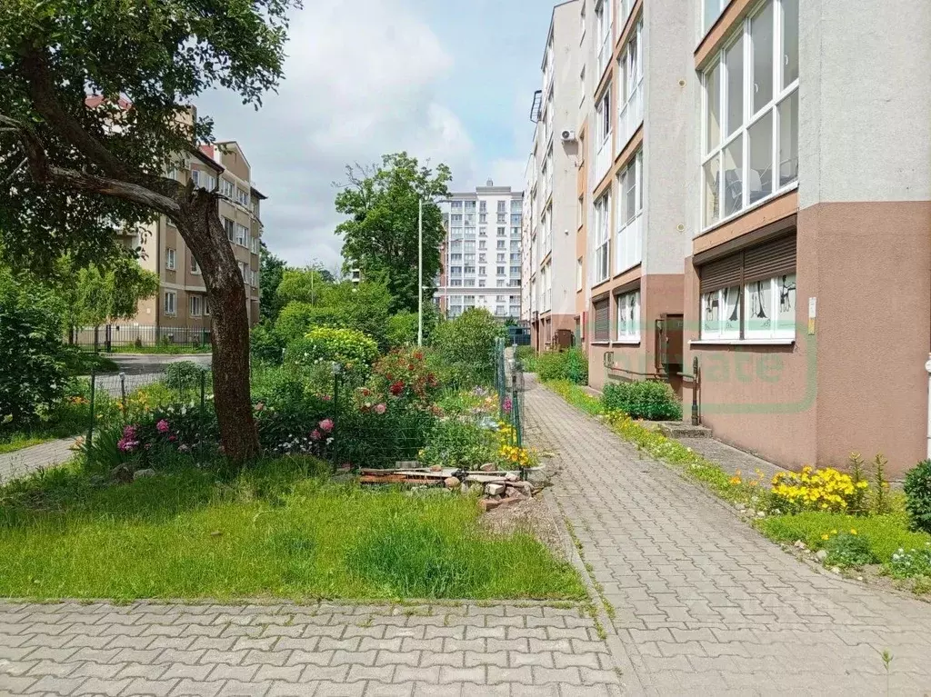 Офис в Калининградская область, Калининград Юбилейная ул., 4 (95 м) - Фото 1