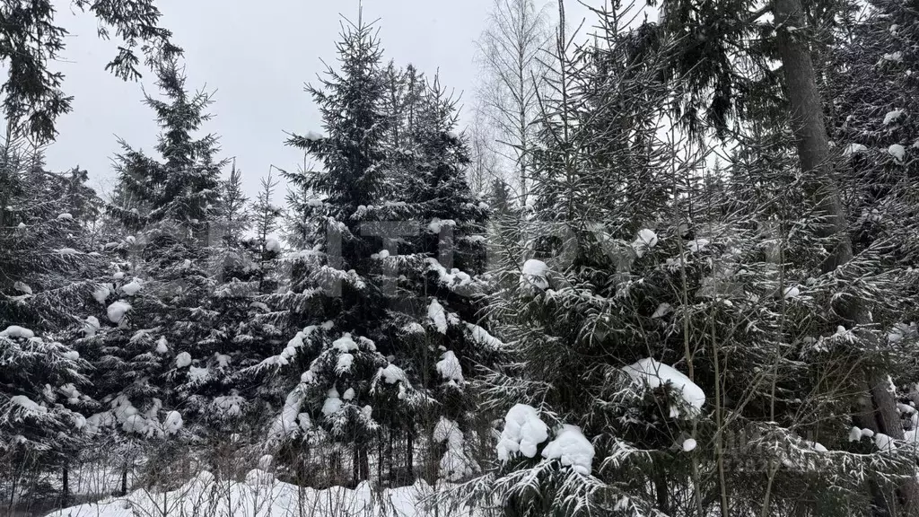 Участок в Ленинградская область, Ломоносовский район, Кипенское с/пос, ... - Фото 1