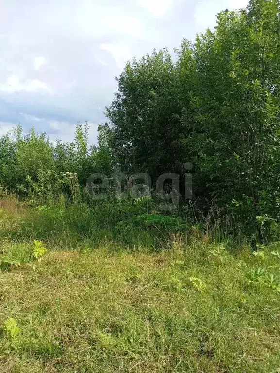 Участок в Вологодская область, д. Коренево  (11.5 сот.) - Фото 1