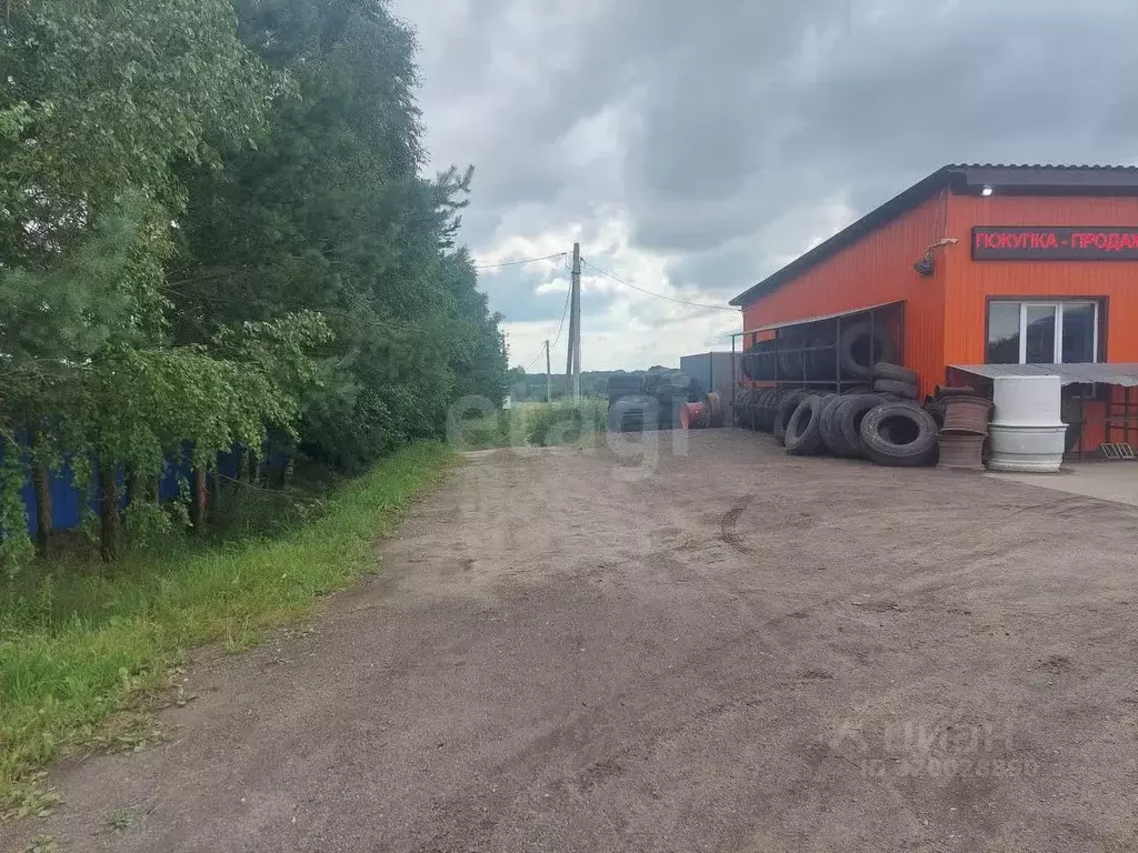 Участок в Брянская область, Брянский район, с. Глинищево ул. ... - Фото 2