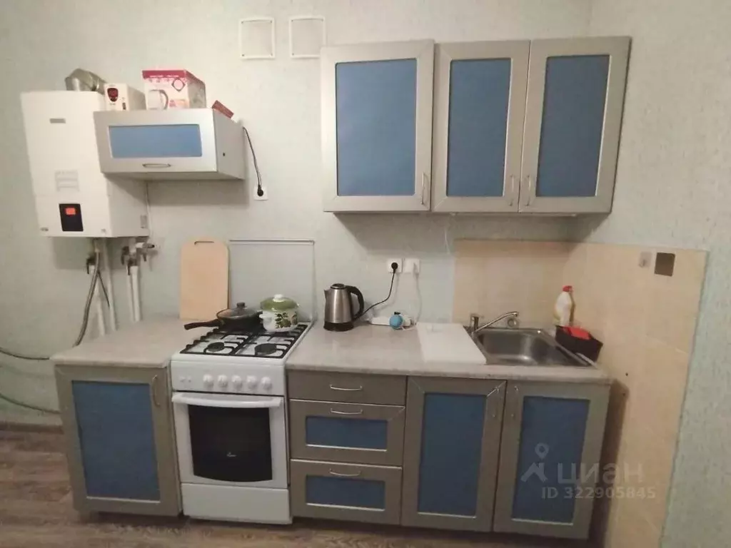 1-к кв. Калужская область, Совхоз Боровский с/пос, д. Кабицыно ул. ... - Фото 2