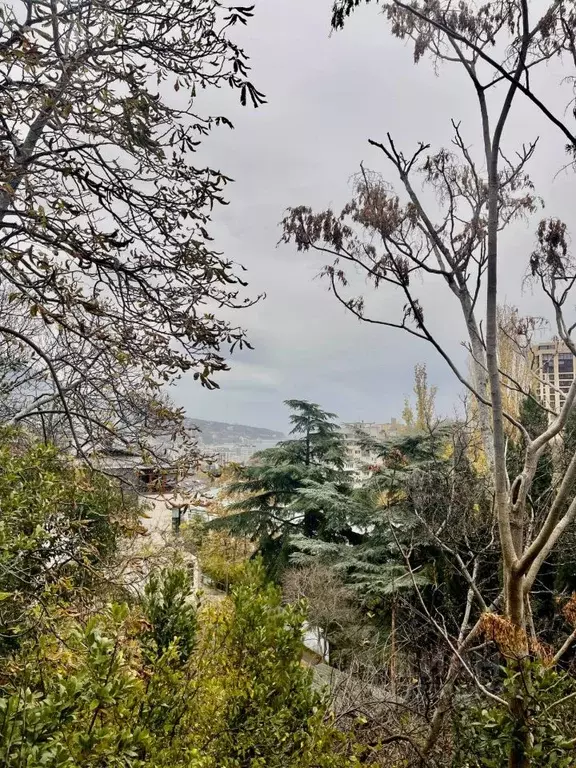 Участок в Крым, Ялта ул. Горького, 23 (6.0 сот.) - Фото 1