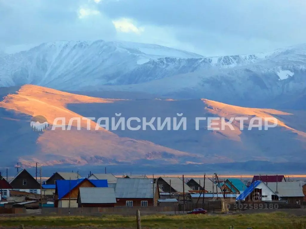 Участок в Алтай, Кош-Агачский район, с. Кош-Агач ул. Кабакана, 44 ... - Фото 0