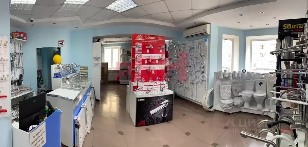 Торговая площадь в Курганская область, Курган ул. Коли Мяготина, 74 ... - Фото 2