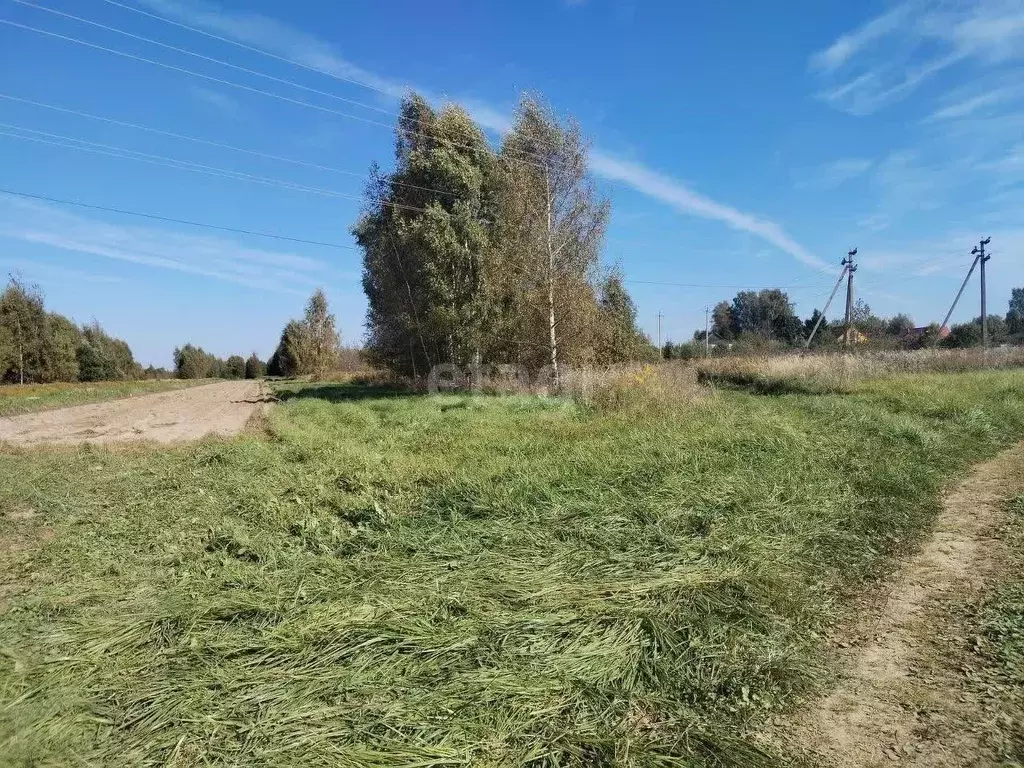 Участок в Ярославская область, Ярославский район, Заволжское с/пос, д. ... - Фото 1