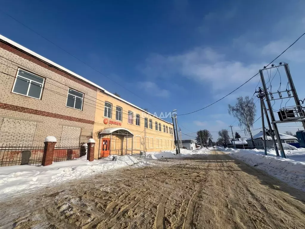 Помещение свободного назначения в Московская область, Луховицы ... - Фото 1