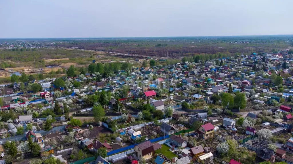 Участок в Тюменская область, Тюмень Ягодное СНТ, ул. Ягодная, 263 ... - Фото 1