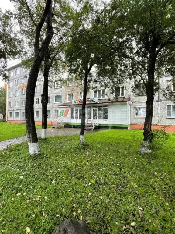 Офис в Камчатский край, Петропавловск-Камчатский ул. Тушканова, 12 ... - Фото 1