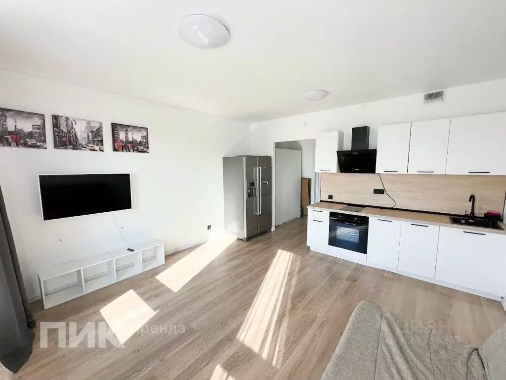 Студия Ленинградская область, Всеволожский район, д. Новое Девяткино ... - Фото 1