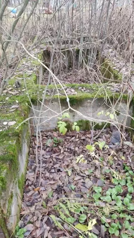 Участок в Ленинградская область, Кировское городское поселение, ... - Фото 2