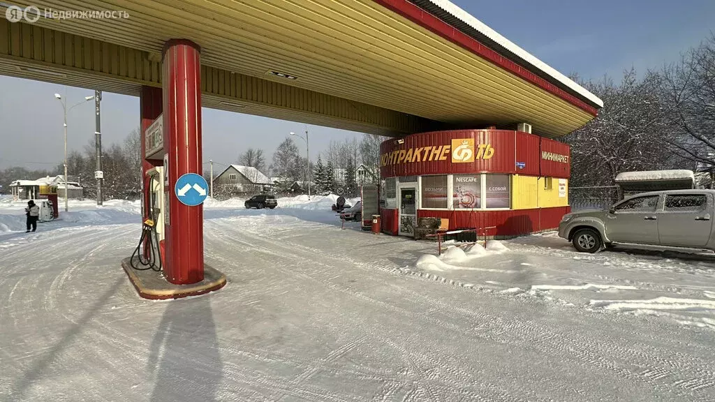 Помещение свободного назначения (255 м) - Фото 1