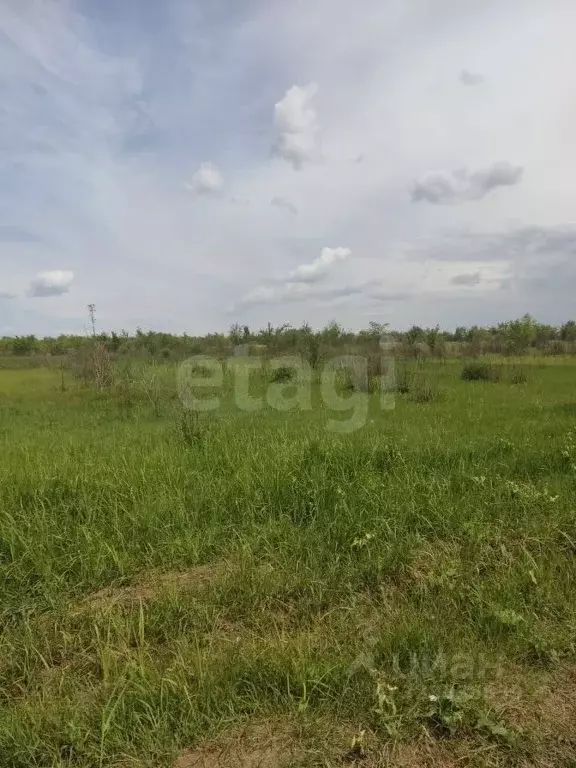 Участок в Ростовская область, Азов Азовский район, Соловьиный пер. ... - Фото 2