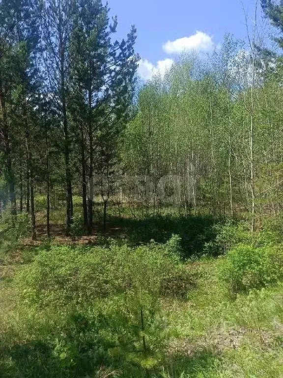 Участок в Забайкальский край, Читинский район, с. Смоленка  (26.0 ... - Фото 1