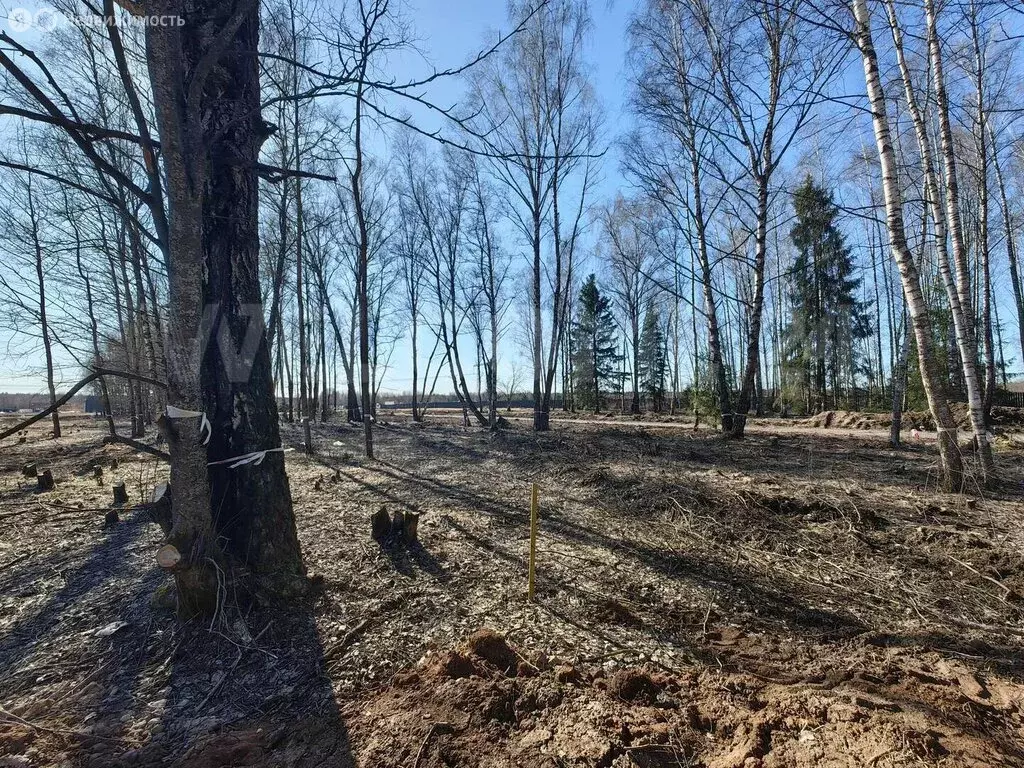 Участок в Московская область, городской округ Мытищи, деревня Юрьево ... - Фото 1