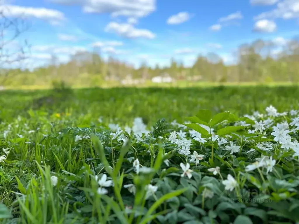 Участок в Новгородская область, Маловишерское городское поселение, д. ... - Фото 0