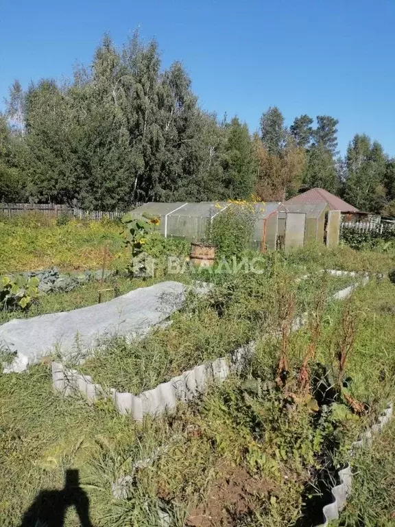 Дом в Забайкальский край, Читинский район, № 56 Дорожник СНТ  (65 м) - Фото 1
