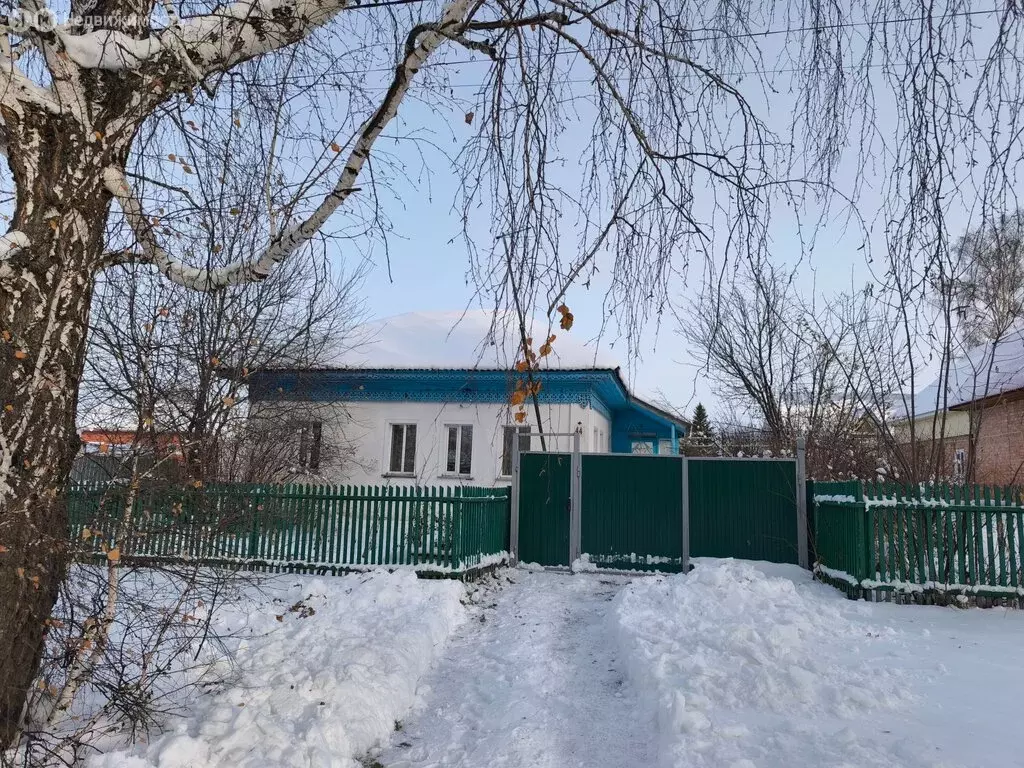 Дом в Болотное, Водопроводная улица, 44 (48 м) - Фото 2