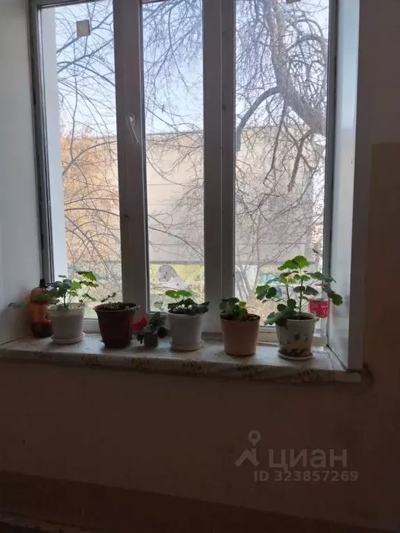 2-к кв. Свердловская область, Екатеринбург ул. Восточная, 29 (48.6 м) - Фото 2