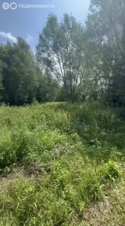 Участок в Московская область, Рузский муниципальный округ, деревня ... - Фото 2