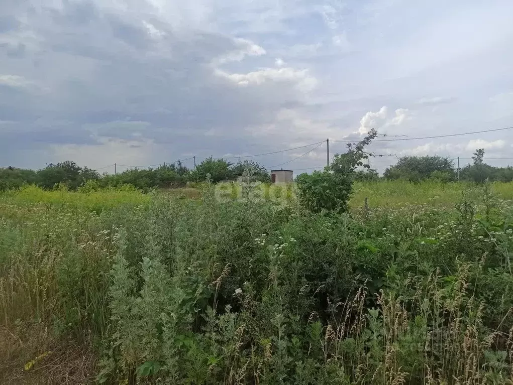 Участок в Белгородская область, Строитель Яковлевский городской округ, ... - Фото 0