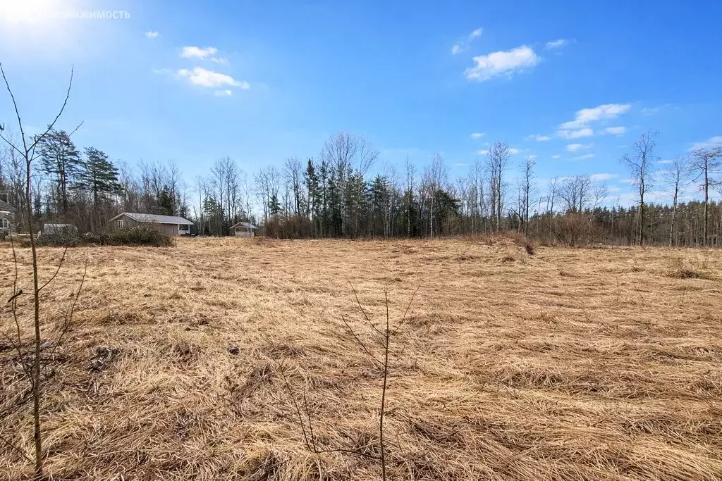 Участок в Мельниковское сельское поселение (25 м) - Фото 1