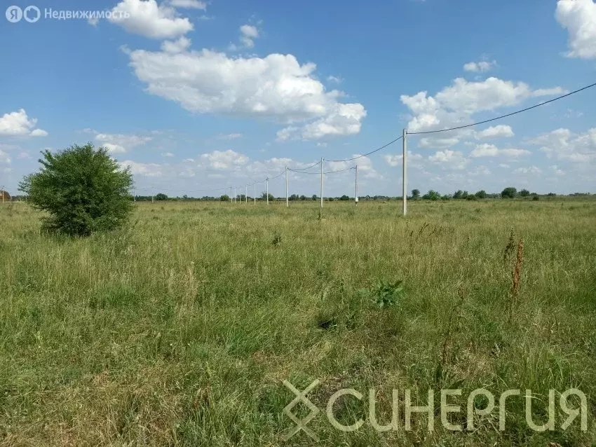 Участок в Ольгинское сельское поселение, коттеджный посёлок Усадьба, ... - Фото 0