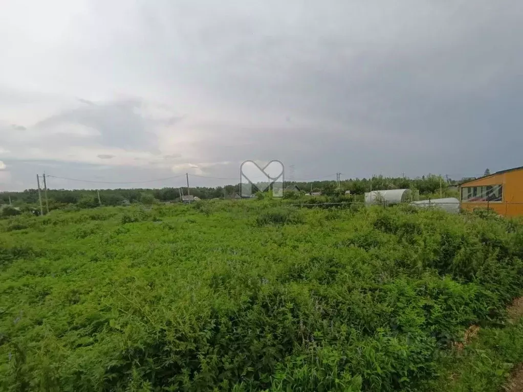 Участок в Ленинградская область, Волосовский район, Рабитицкое с/пос, ... - Фото 2