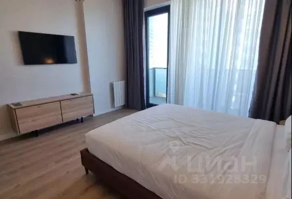 Студия Краснодарский край, Сочи ул. Искры, 88к2 (33.6 м) - Фото 2