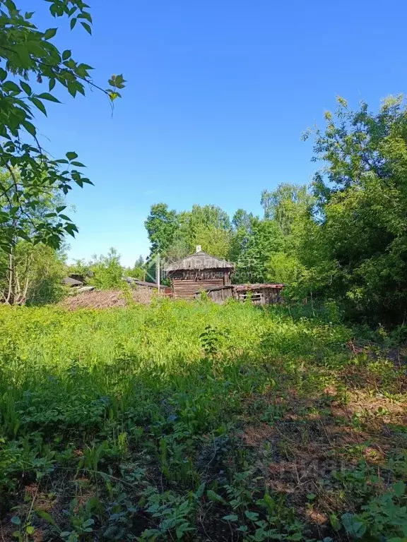 Участок в Кировская область, Слободской Октябрьская ул., 36 (14.0 ... - Фото 1