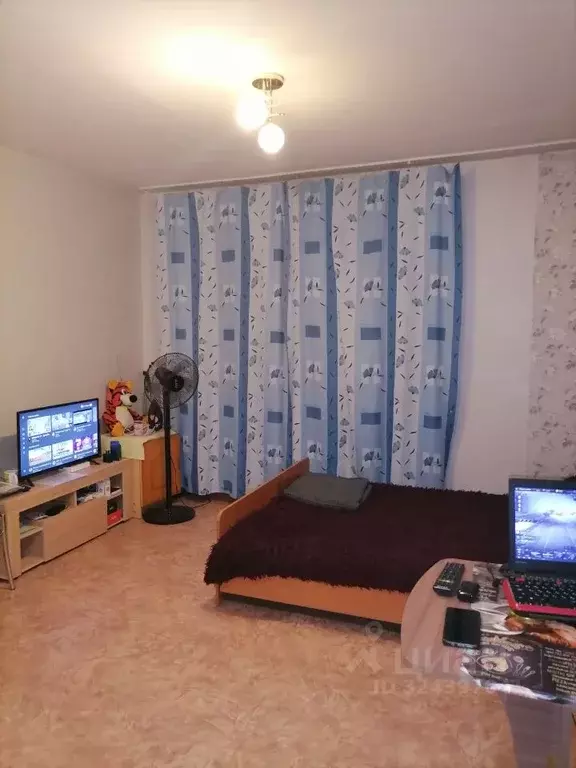 Студия Алтайский край, Барнаул Взлетная ул., 46 (27.0 м) - Фото 2