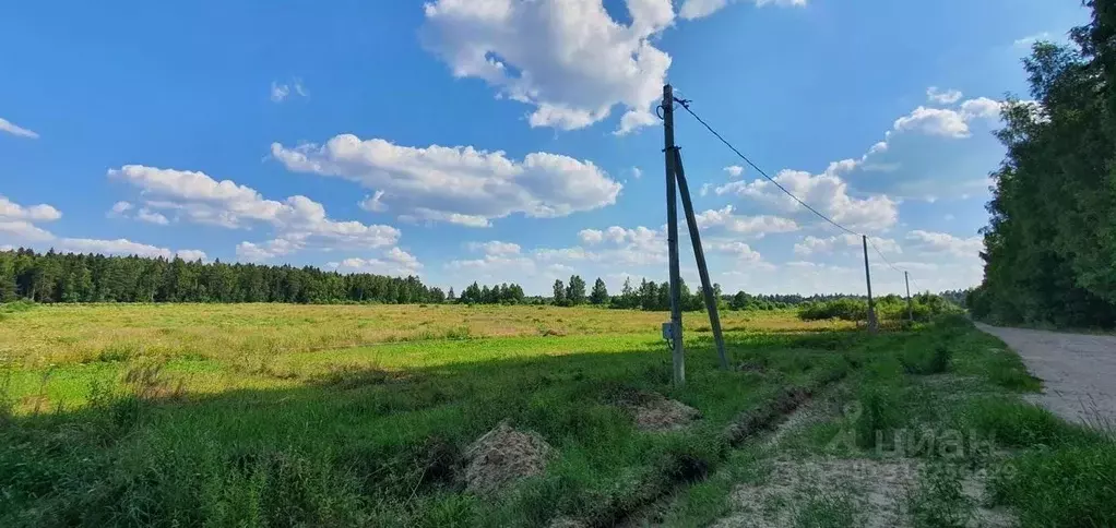 Участок в Московская область, Щелково городской округ, Лесной кв-л ... - Фото 0