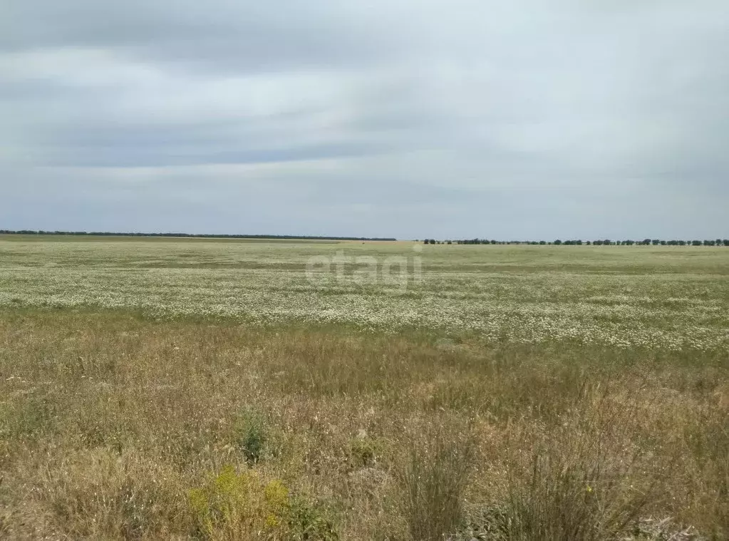 Участок в Крым, Сакский район, с. Ромашкино ул. Интернациональная ... - Фото 0