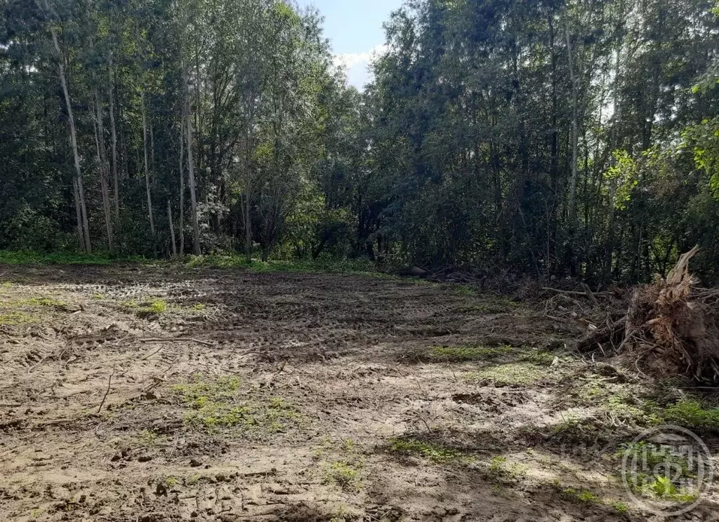 Участок в Ленинградская область, Всеволожский район, Куйвозовское ... - Фото 1