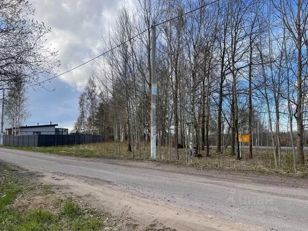 Участок в Ленинградская область, Всеволожский район, Рахьинское ... - Фото 0