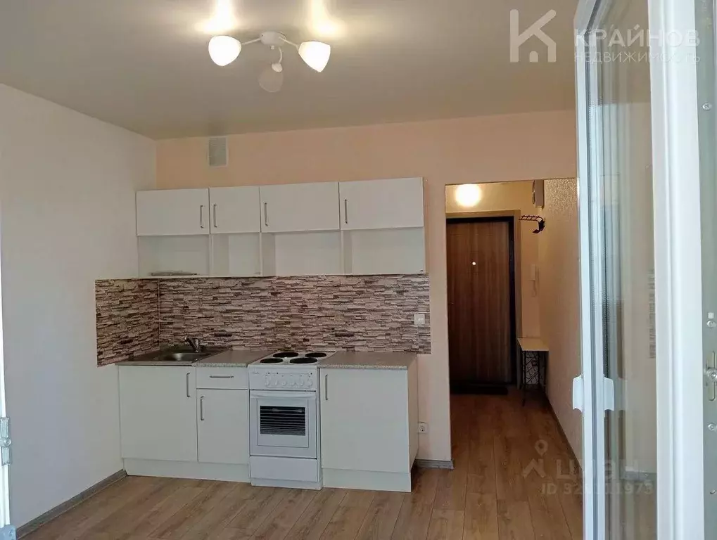 Студия Воронежская область, Новоусманский район, пос. Отрадное ул. ... - Фото 1