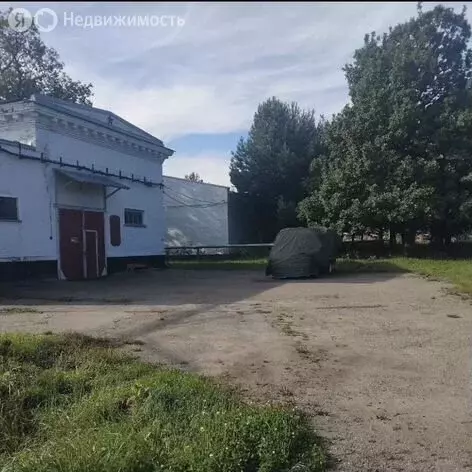 Помещение свободного назначения (553.8 м) - Фото 1