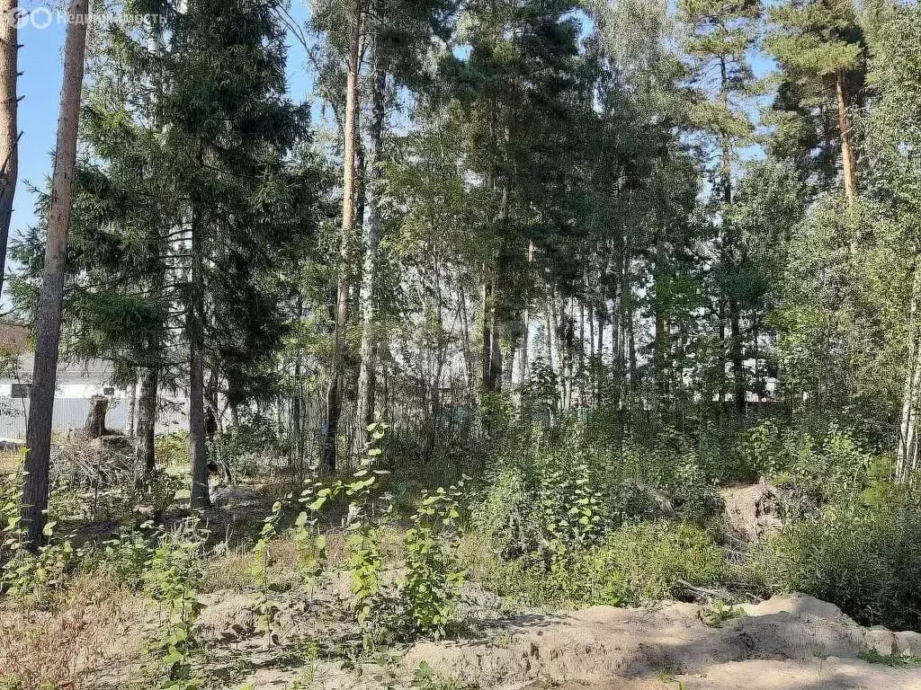 Участок в деревня Дятловка, КП Купавна Вилладж (15 м) - Фото 1