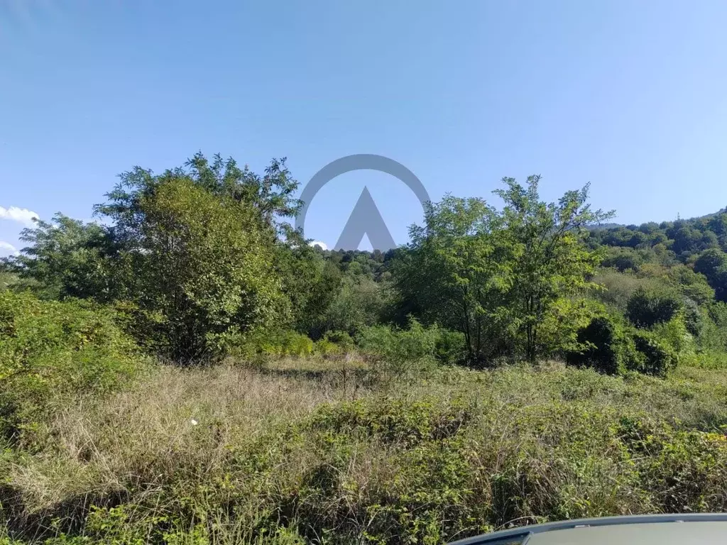 Участок в Краснодарский край, Туапсинский муниципальный округ, с. ... - Фото 2