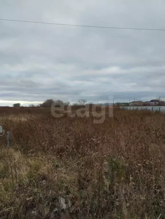 Участок в Тюменская область, Тюменский муниципальный округ, с. ... - Фото 2