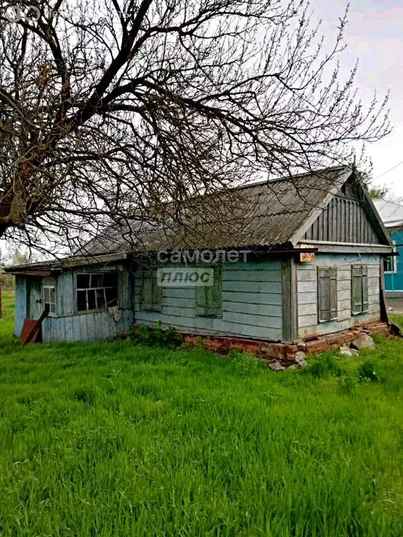 Дом в станица Новощербиновская, улица Пушкина (35 м) - Фото 1