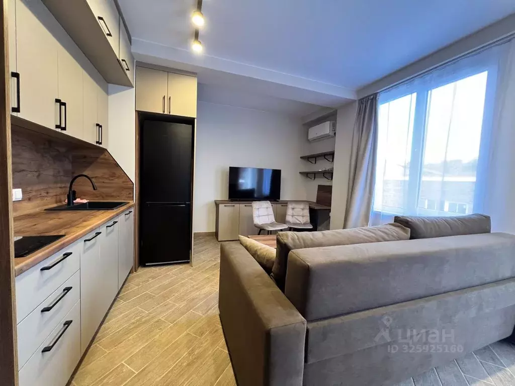 Студия Краснодарский край, Сочи ул. Яна Фабрициуса, 66/2 (25.0 м) - Фото 2