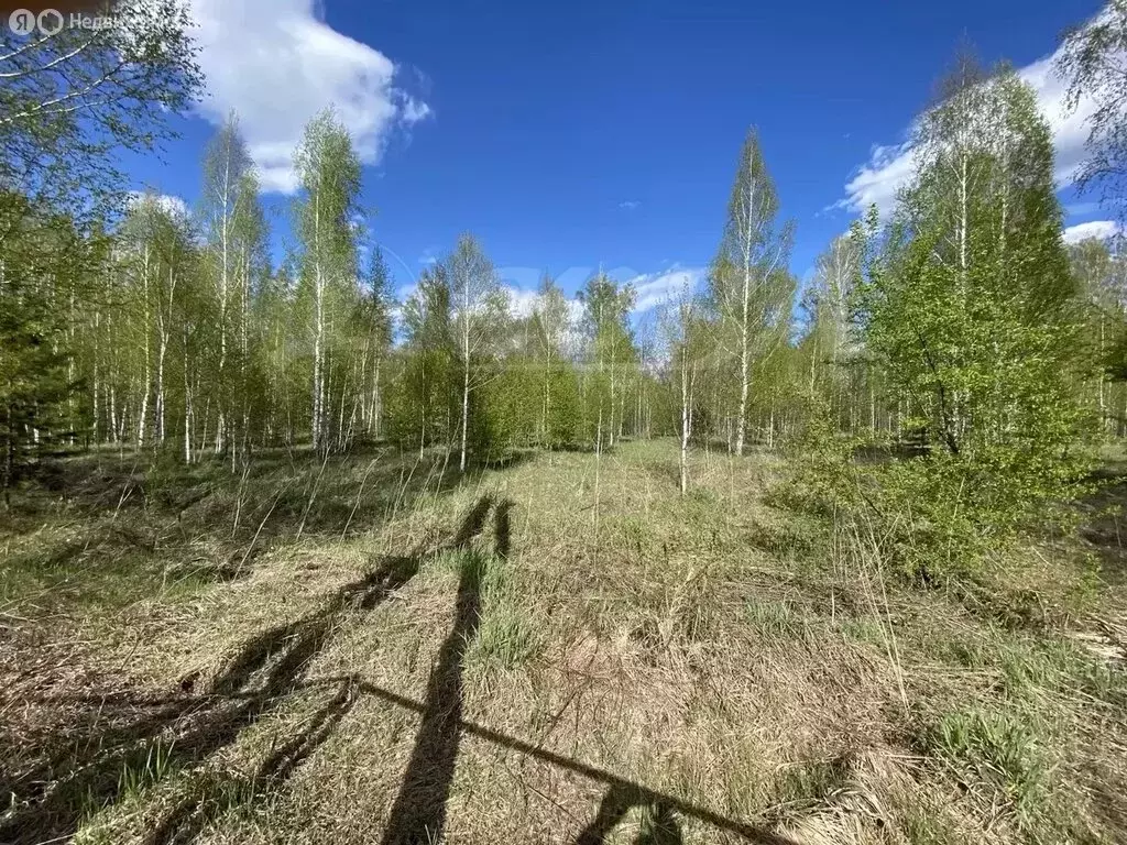 Участок в Тюменский муниципальный округ, СНТ Одуванчик (12 м) - Фото 1