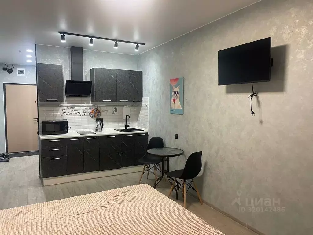 Студия Московская область, Одинцовский городской округ, Новоивановское ... - Фото 1